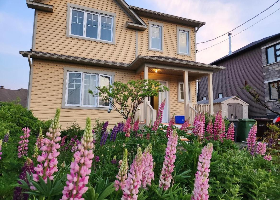 Maison Chaleureuse, Energetique Et Florale 셔브룩 외부 사진